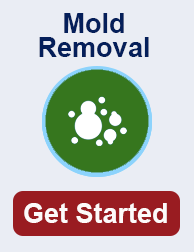 mold remediation in Scottsdale AZ